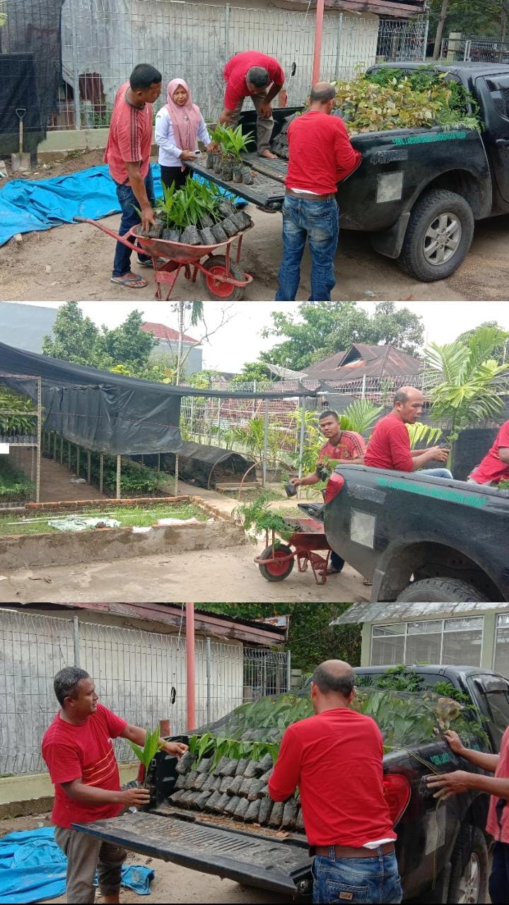 Koordinasi dan penjemputan bibit tanaman 